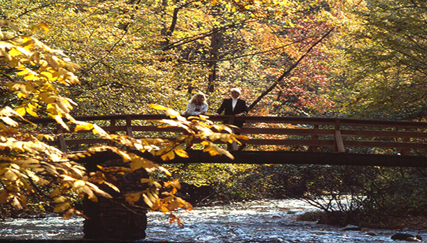 Discover Autumn Adventures in Hendersonville