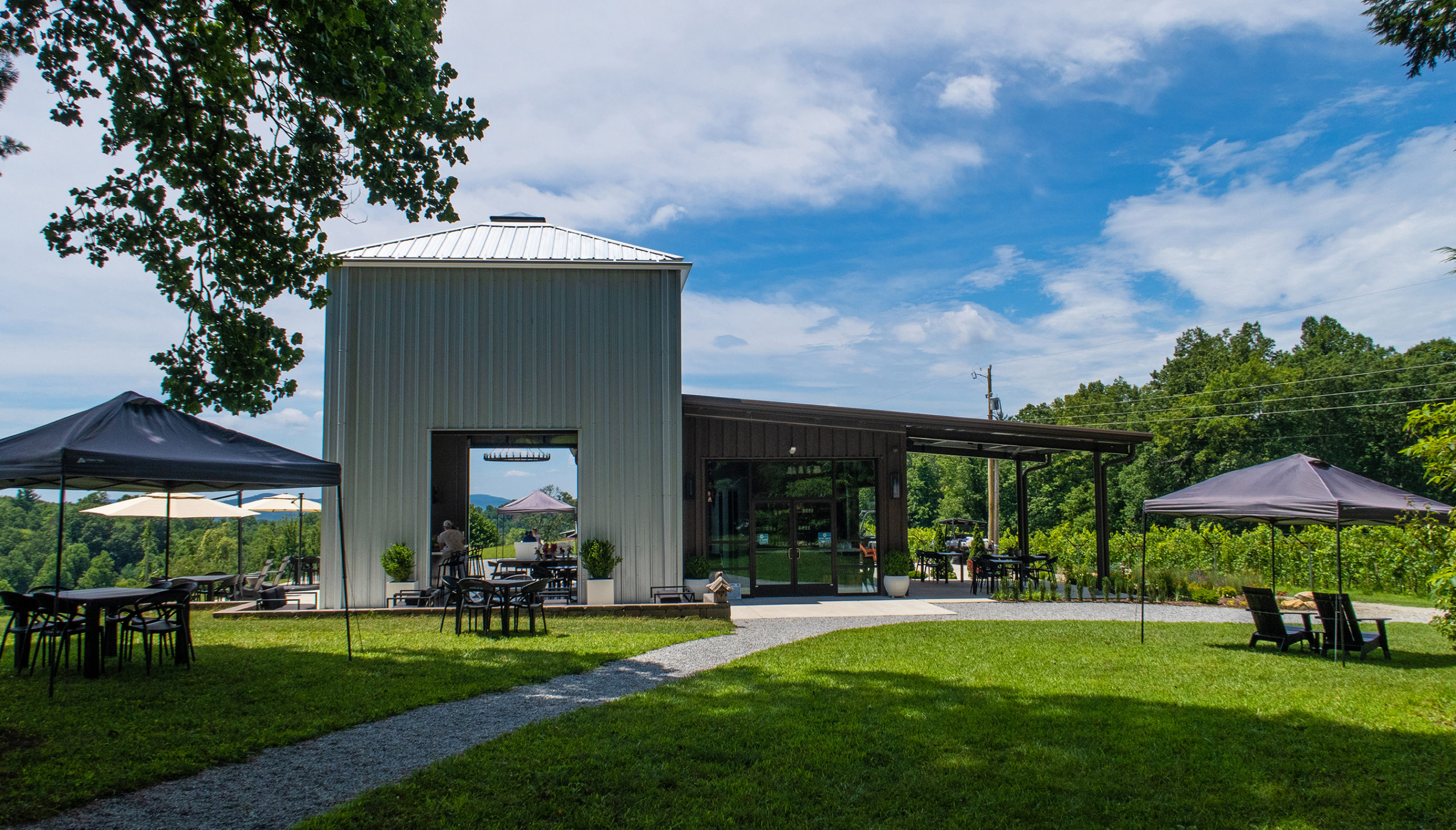Marked Tree Vineyard