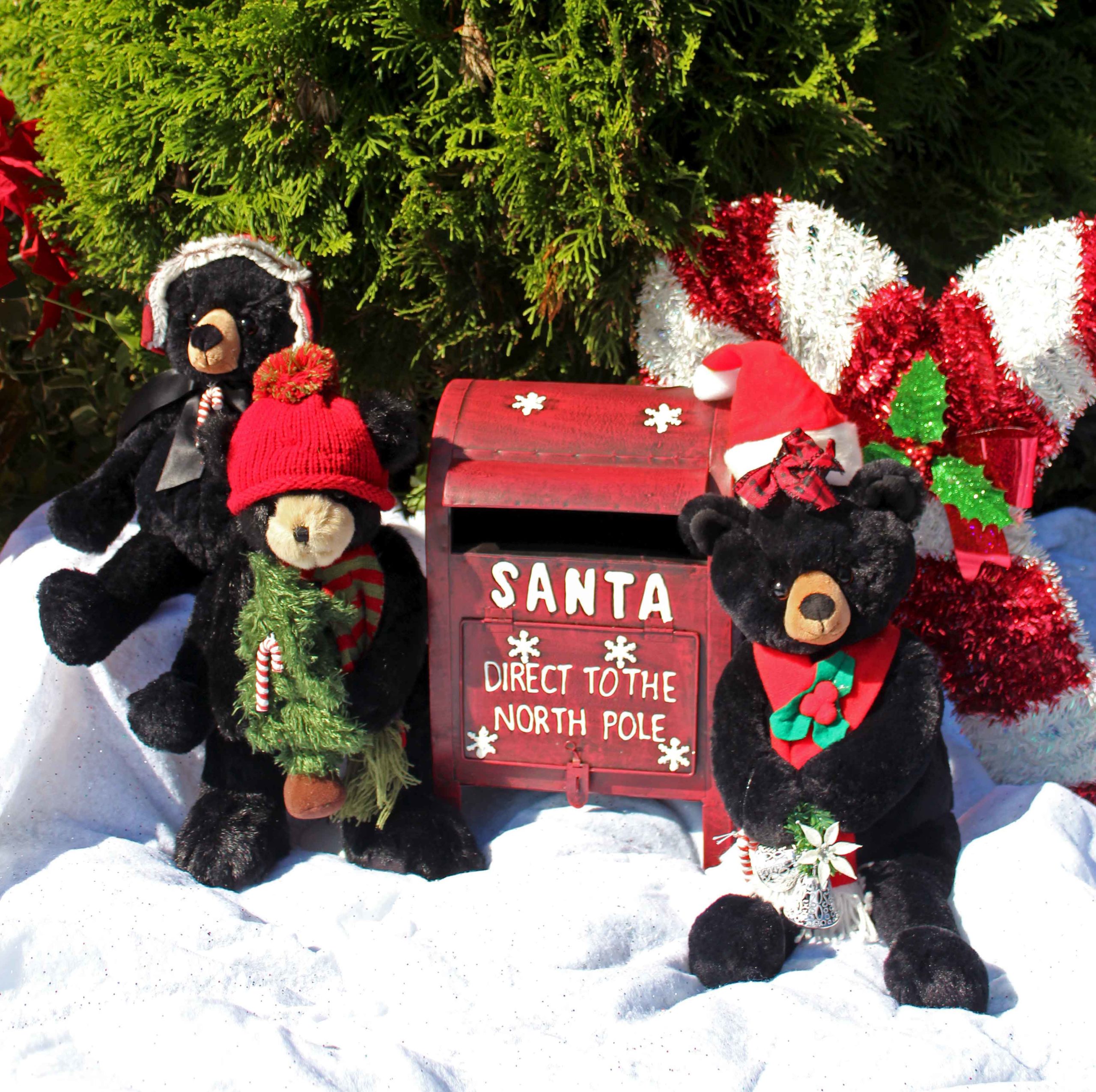 Hendersonville Nc Christmas Events 2022 Home For The Holidays - Visitors Information Center | Hendersonville, Nc