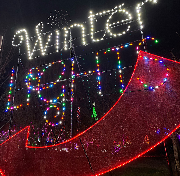 Winter Lights at the N.C. Arboretum
