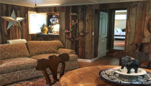 The Acorn Cabin Visitors Information Center Hendersonville Nc
